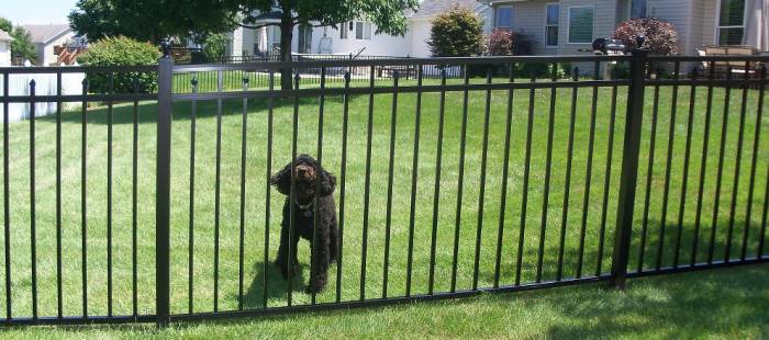 Aluminum fence