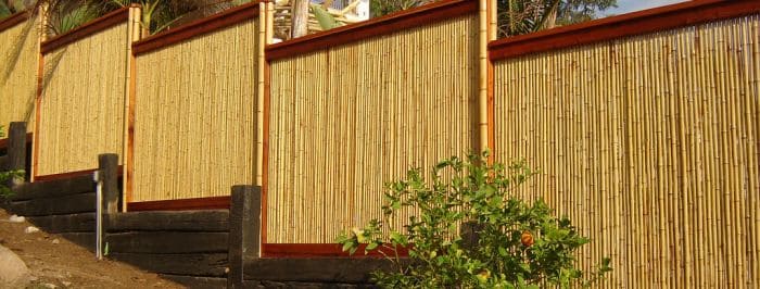 Bamboo fence