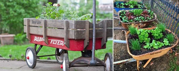 Herb Garden